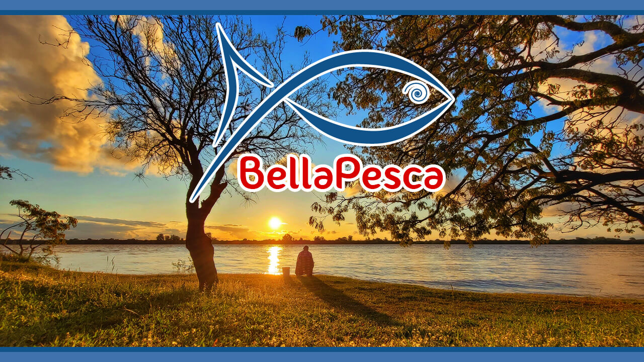 Bellapesca